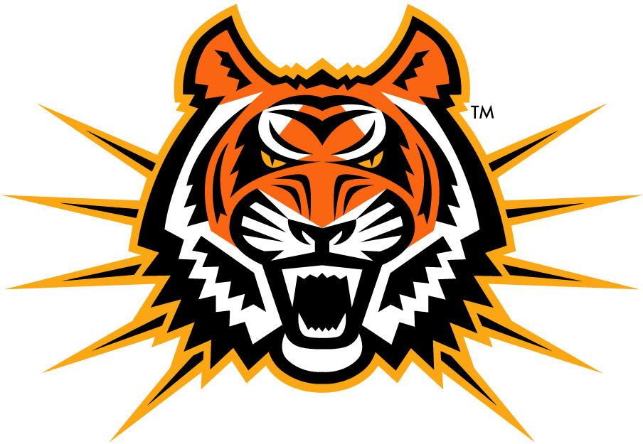 Idaho State Bengals 1997-Pres Alternate Logo diy DTF decal sticker